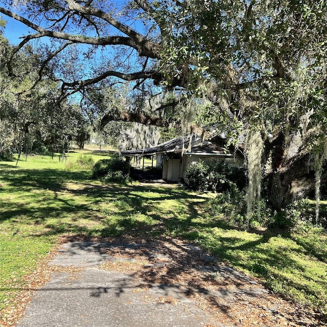 4504 E County Road 540a, Lakeland, FL 33813 - photo 8