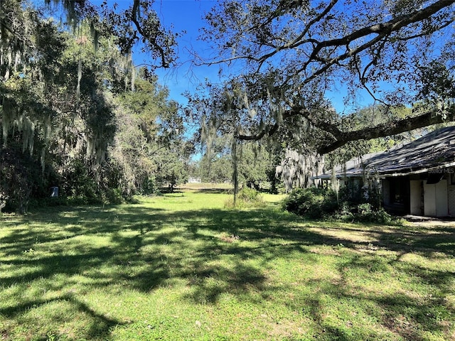 4504 E County Road 540a, Lakeland, FL 33813 - photo 10