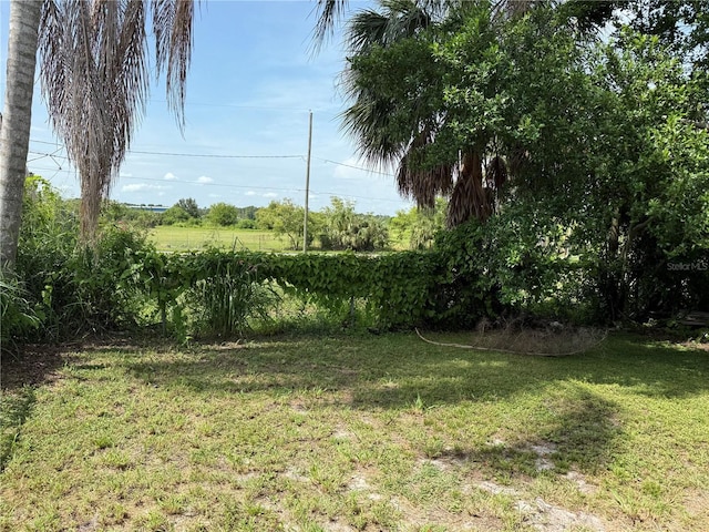 724 Ave D SW, Winter Haven, FL 33880 - view of grassy yard