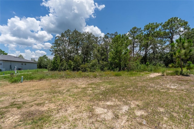 81 Zinnia Ln E, Poinciana, FL 34759 - photo 2