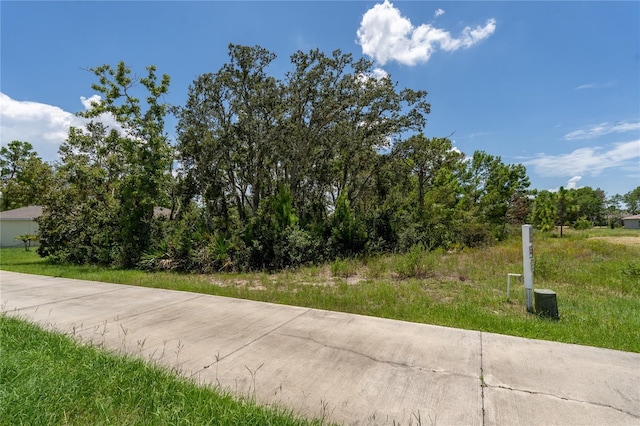 81 Zinnia Ln E, Poinciana, FL 34759 - photo 7