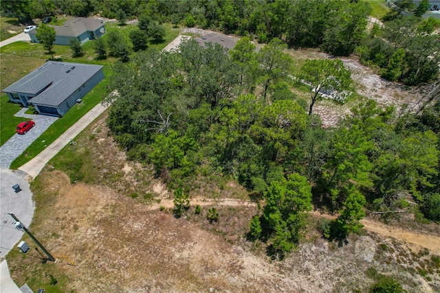 81 Zinnia Ln E, Poinciana, FL 34759 - photo 13