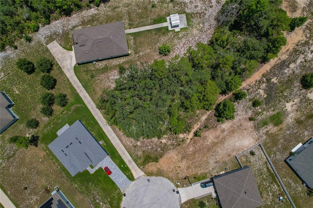 81 Zinnia Ln E, Poinciana, FL 34759 - photo 14