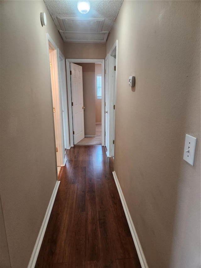 3933 Strickland Ct, Lakeland, FL 33812 - photo 4