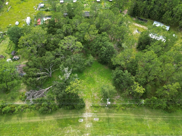18068 Commonwealth Ave N, Polk City, FL 33868 - photo 3