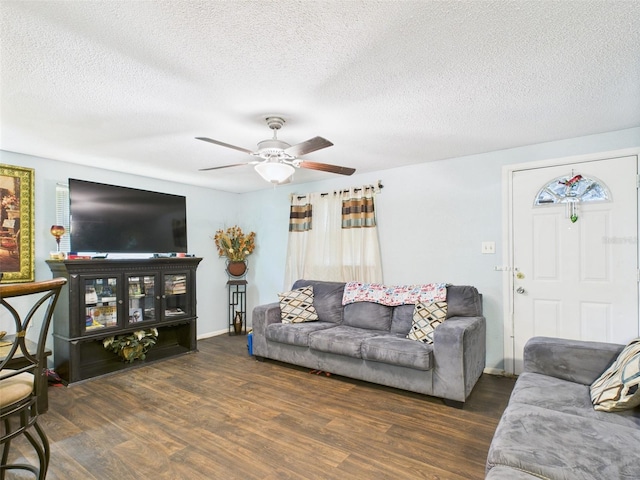 2119 W Patterson St, Lakeland, FL 33815 - photo 6