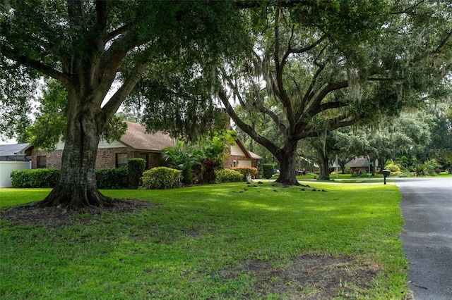 41 Lake Eloise Ln, Winter Haven, FL 33884 - photo 19