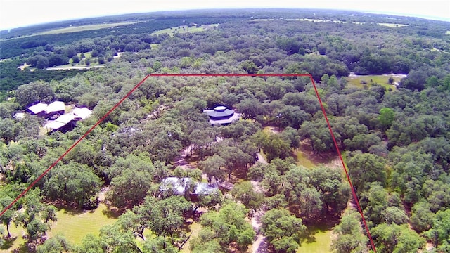4025 Paw Paw Trl, Lake Wales, FL 33898 - photo 51