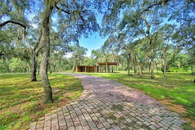4025 Paw Paw Trl, Lake Wales, FL 33898 - photo 53