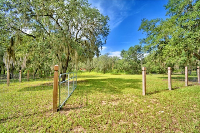 4025 Paw Paw Trl, Lake Wales, FL 33898 - photo 88
