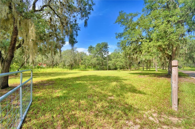 4025 Paw Paw Trl, Lake Wales, FL 33898 - photo 89
