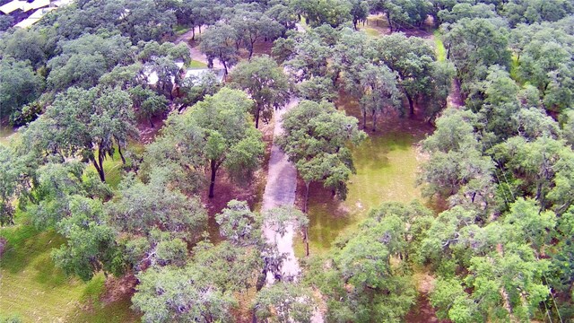 4025 Paw Paw Trl, Lake Wales, FL 33898 - photo 91