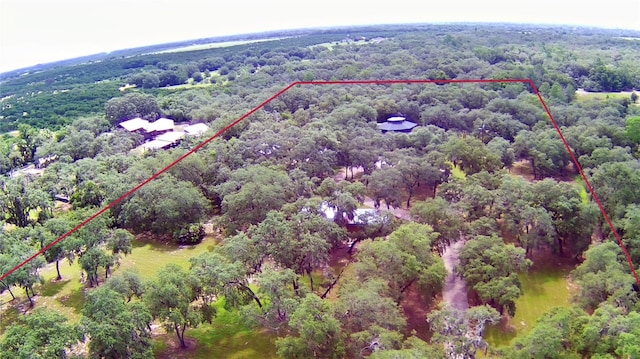 4025 Paw Paw Trl, Lake Wales, FL 33898 - photo 93