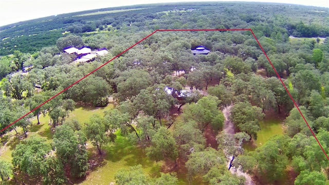 4025 Paw Paw Trl, Lake Wales, FL 33898 - photo 94