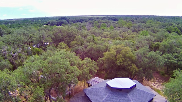 4025 Paw Paw Trl, Lake Wales, FL 33898 - photo 97