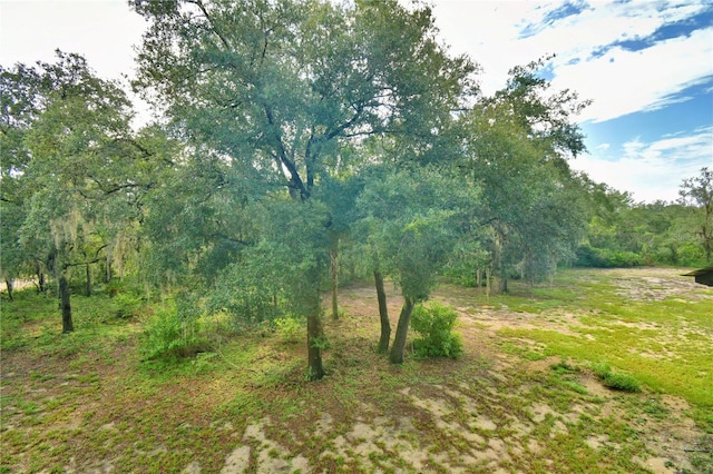 4025 Paw Paw Trl, Lake Wales, FL 33898 - photo 98