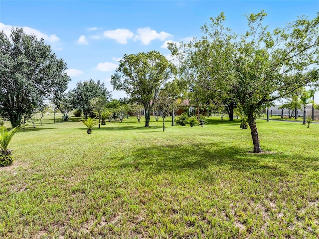 567 Libby Alico Rd, Babson Park, FL 33827 - photo 30