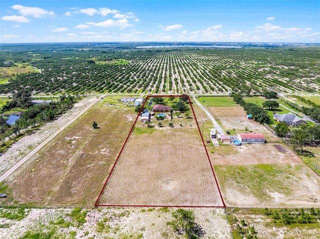 567 Libby Alico Rd, Babson Park, FL 33827 - photo 38