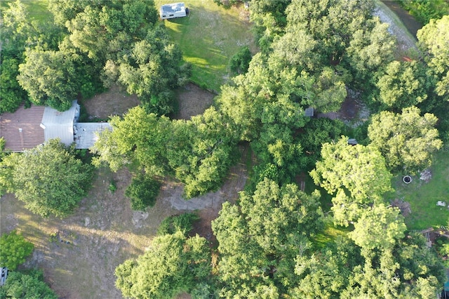 4424 N Foxtown N, Polk City, FL 33868 - photo 6