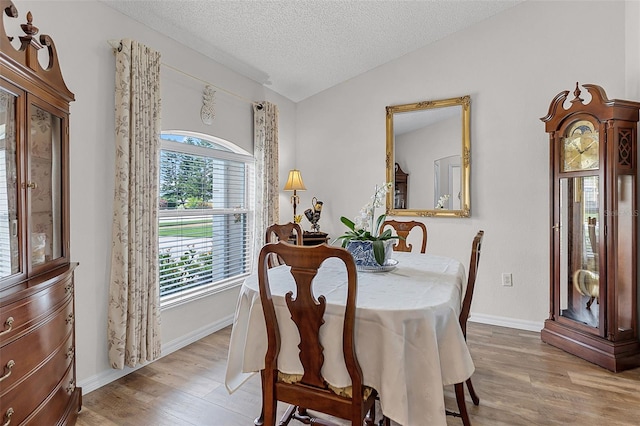 4392 Dinner Lake Blvd, Lake Wales, FL 33859 - photo 11