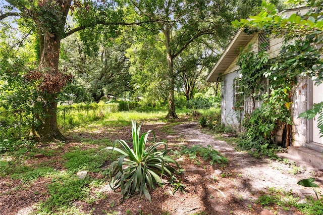 3703 Mount Tabor Rd, Lakeland, FL 33810 - photo 7
