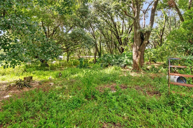3703 Mount Tabor Rd, Lakeland, FL 33810 - photo 8