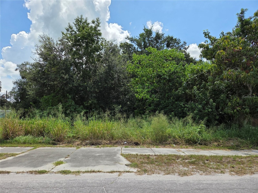 505 S Lanier Ave, Fort Meade, FL 33841 - photo 1