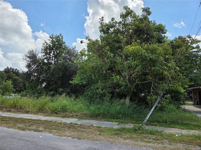 505 S Lanier Ave, Fort Meade, FL 33841 - photo 3