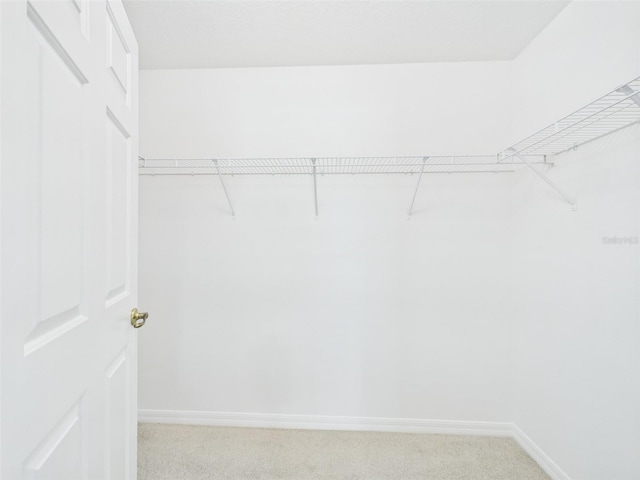 164 Clinger Cove Rd, Ocoee, FL 34761 - photo 43