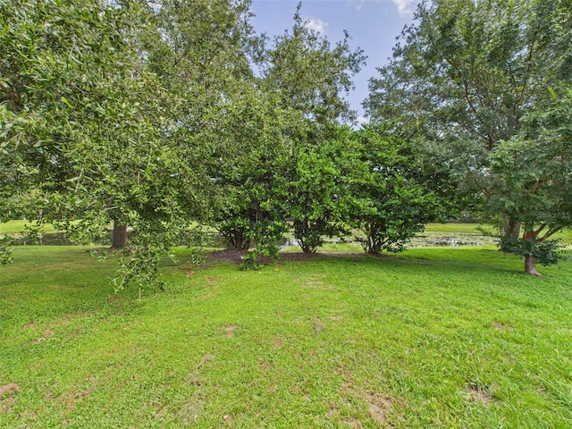 164 Clinger Cove Rd, Ocoee, FL 34761 - photo 68
