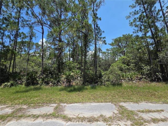 0 Allamanda Dr, Indian Lake Estates, FL 33855 - photo 4