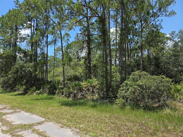 0 Allamanda Dr, Indian Lake Estates, FL 33855 - photo 6