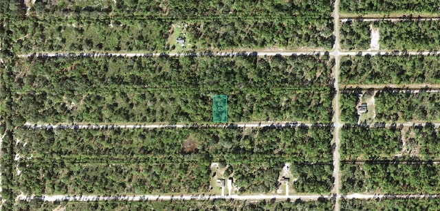 0 Allamanda Dr, Indian Lake Estates, FL 33855 - photo 11