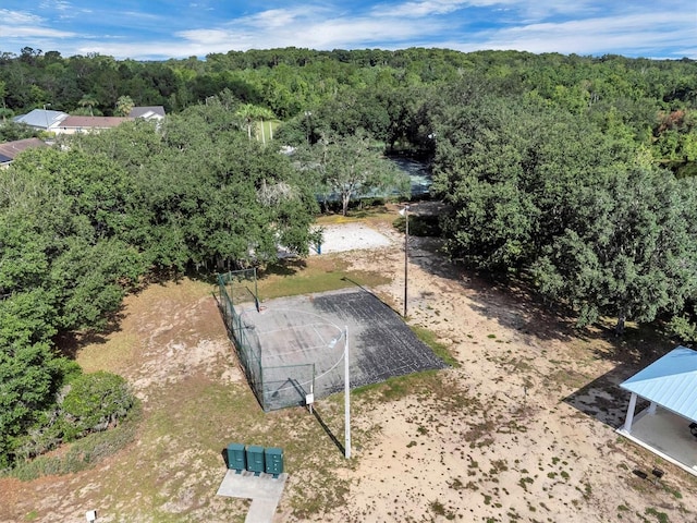 345 Darlington Loop, Davenport, FL 33896 - photo 52