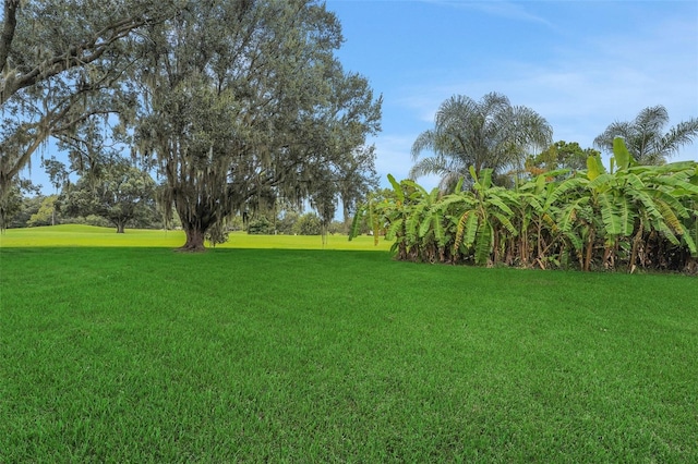 351 Greenfield Rd, Winter Haven, FL 33884 - photo 3