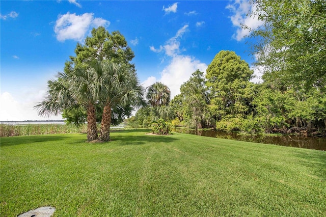 6437 Cherry Pocket Ln, Lake Wales, FL 33898 - photo 79