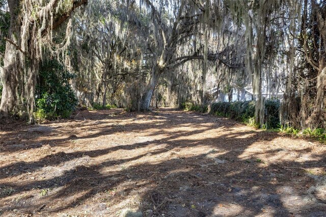SE 50th St, Keystone Heights, FL 32656 - photo 10