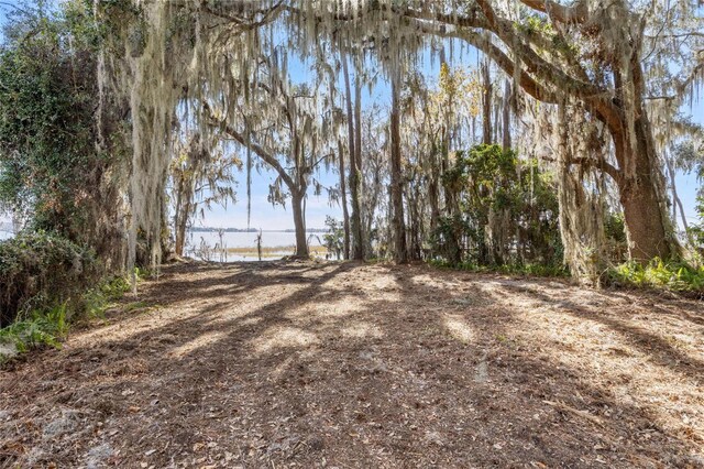 SE 50th St, Keystone Heights, FL 32656 - photo 11