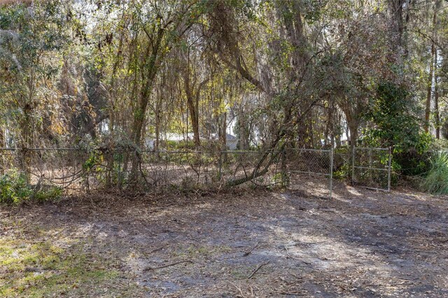 SE 50th St, Keystone Heights, FL 32656 - photo 8