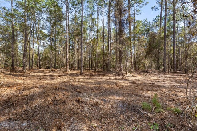 SE 50th St, Keystone Heights, FL 32656 - photo 20