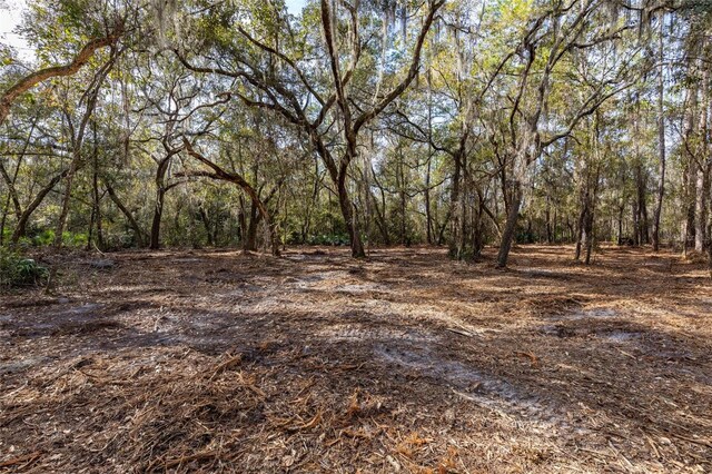SE 50th St, Keystone Heights, FL 32656 - photo 21