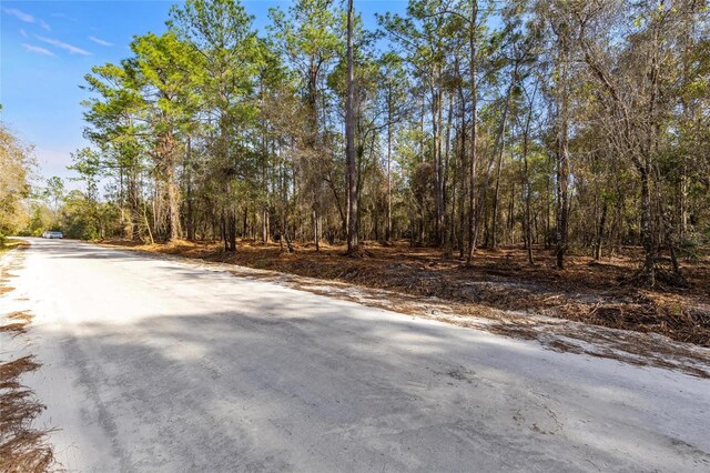 SE 50th St, Keystone Heights, FL 32656 - photo 19