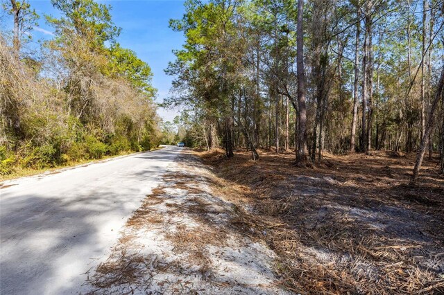 SE 50th St, Keystone Heights, FL 32656 - photo 18