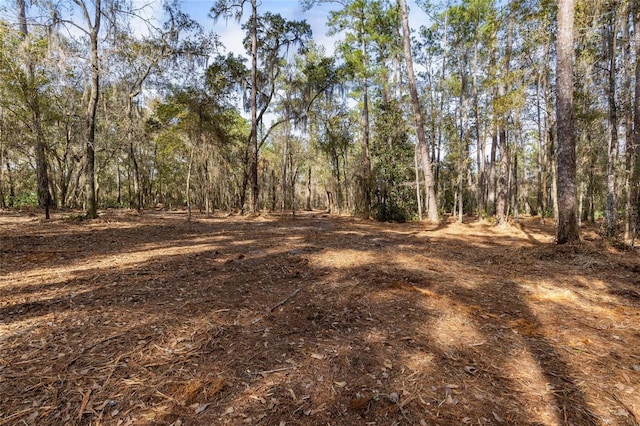 SE 50th St, Keystone Heights, FL 32656 - photo 22