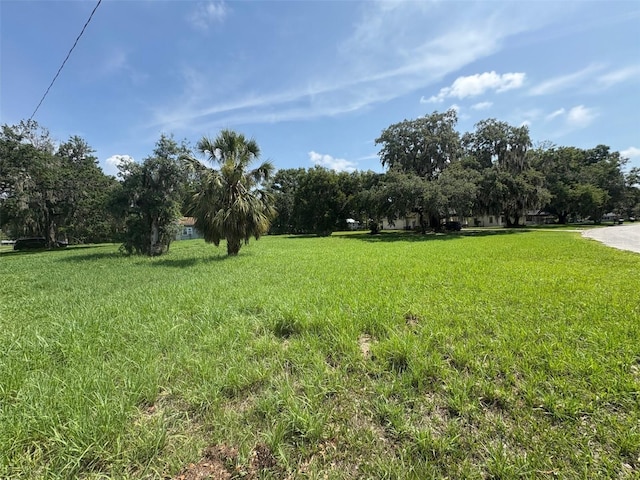 1450 Emerson Ave, Bartow, FL 33830 - photo 6