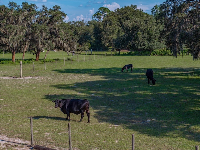 1040 Backbone Rd, Babson Park, FL 33827 - photo 38