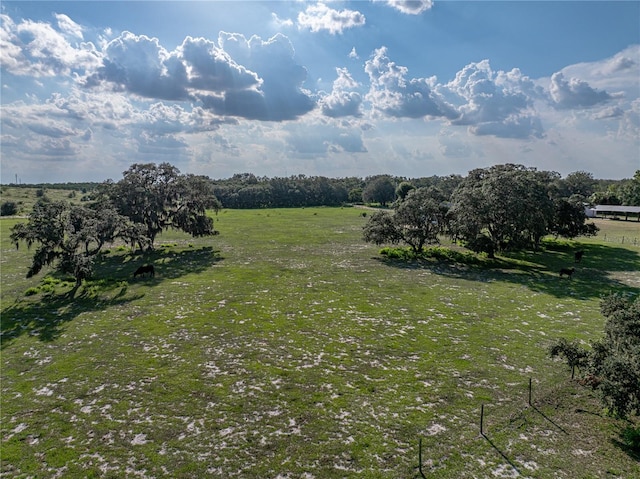 1040 Backbone Rd, Babson Park, FL 33827 - photo 40