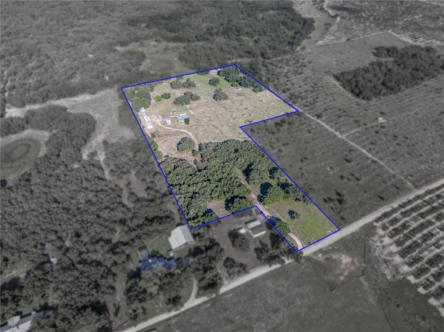 1040 Backbone Rd, Babson Park, FL 33827 - photo 45