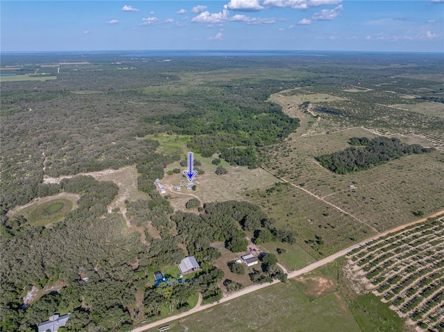 1040 Backbone Rd, Babson Park, FL 33827 - photo 46