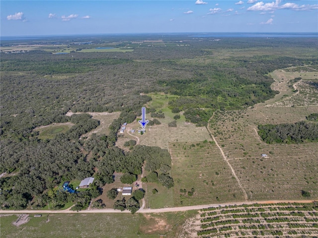 1040 Backbone Rd, Babson Park, FL 33827 - photo 47